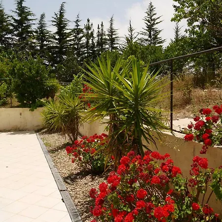 Quinta Nas Colinas Sao Vicente da Beira