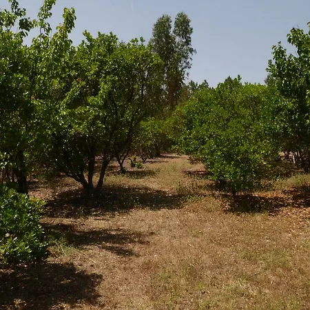 Quinta Nas Colinas * Sao Vicente da Beira